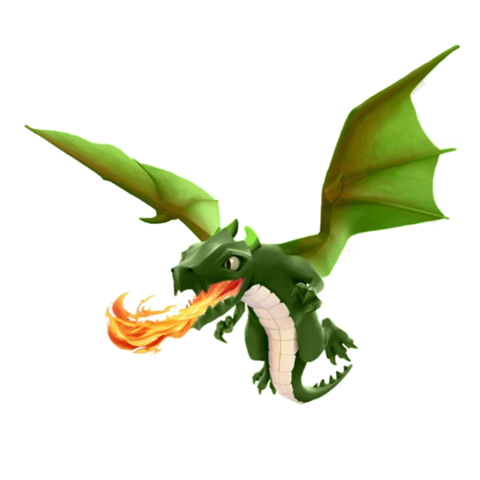 Dragon Dragon