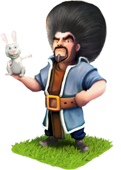 Wizard's Hairstyle Wizard's Hairstyle